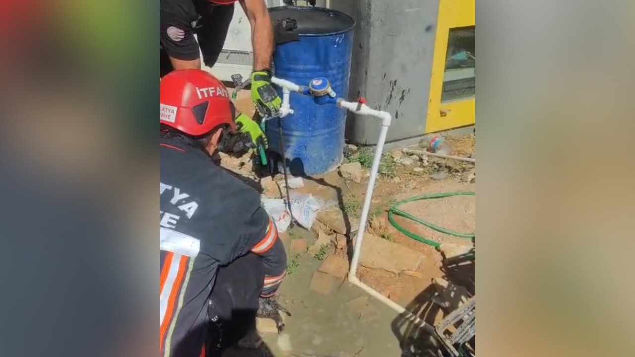 Beton döküldü, yavru köpek altında kaldı! Operatörün tespiti için çalışma başlatıldı
